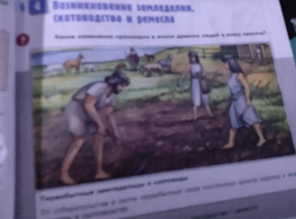 Рассмотри иллюстрации, на которых изображены рисунки первобытных людей о чём свидетельствуют сюжеты этих рисунков
