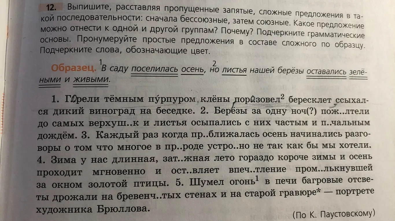 Выполни задание, расставляя пропущенные запятые, сложные предложения в такой последовательности: сначала бессоюзные, затем союзные.