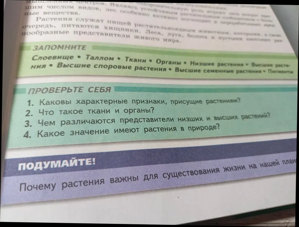 Объясни, почему растения важны для существования жизни на нашей планете
