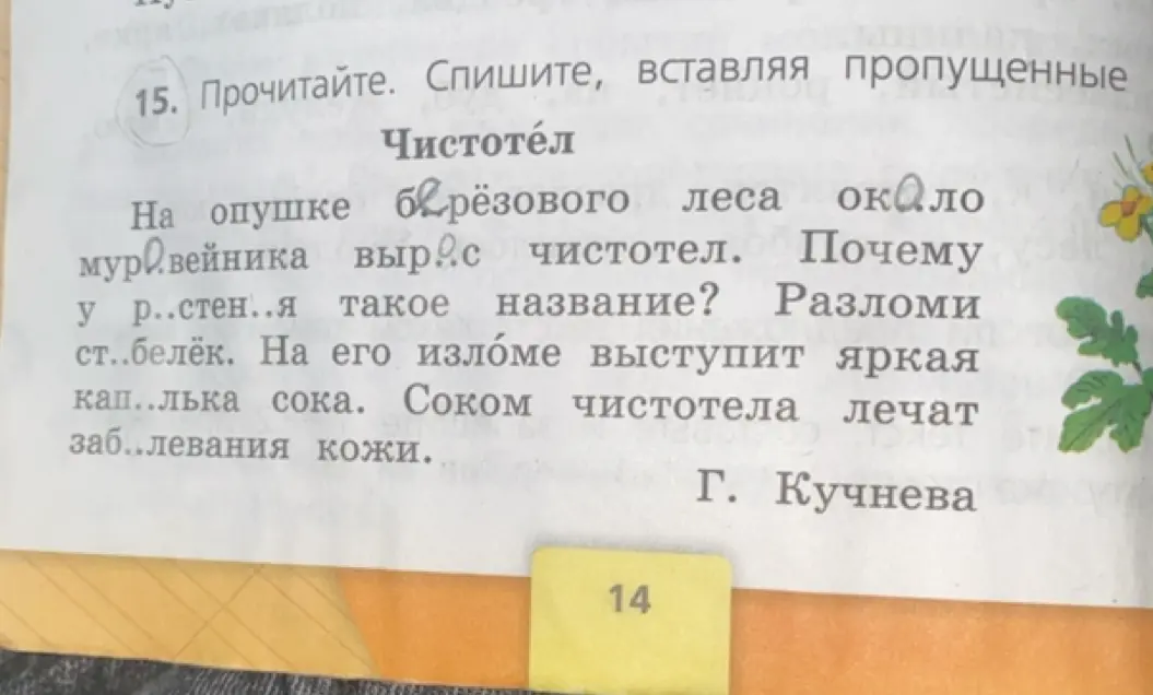 Вставь пропущенные буквы в тексте про чистотел