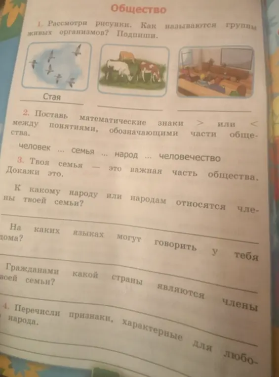 Дай ответы на задания с картинки: как называются группы живых организмов, поставь математические знаки между понятиями, перечисли признаки народа.