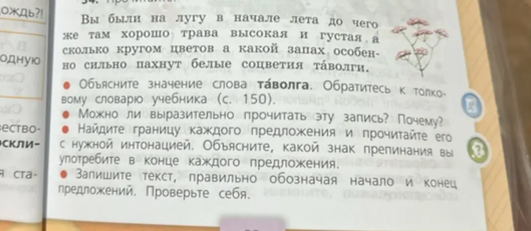 Ты просишь объяснить значение слова таволга, выразительно прочитать запись, найти границу каждого предложения, объяснить знаки препинания и правильно записать текст.