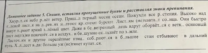Ты просишь списать текст, вставляя пропущенные буквы и расставляя знаки препинания.