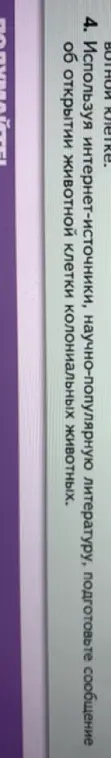 Подготовь сообщение об открытии животной клетки колониальных животных