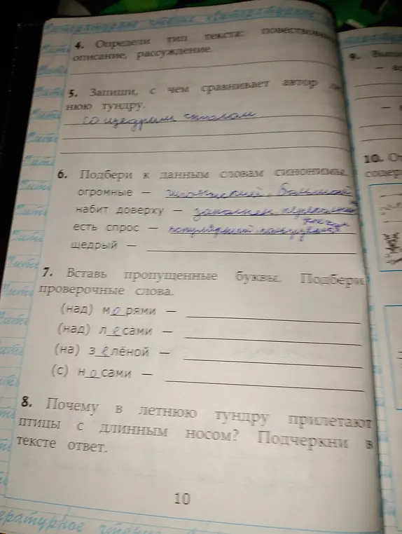 Запиши, с чем сравнивает автор нюю тундру.