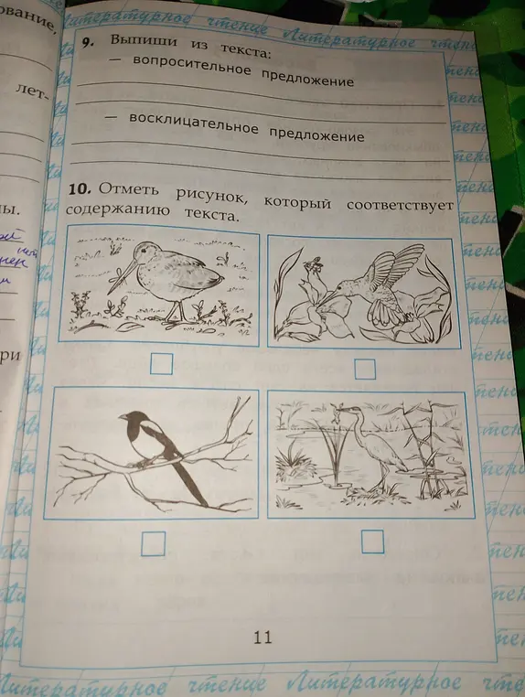 Отметь рисунок, который соответствует содержанию текста.
