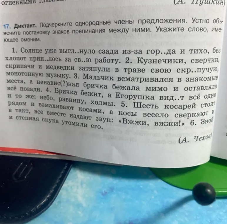 Подчеркни однородные члены предложения в диктанте.