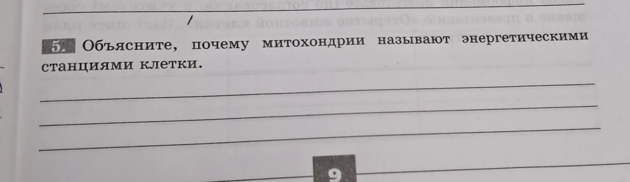 Объясни, какая особенность строения животной клетки не позволяет животным самим создавать необходимые для жизни готовые органические вещества, используя энергию солнца.