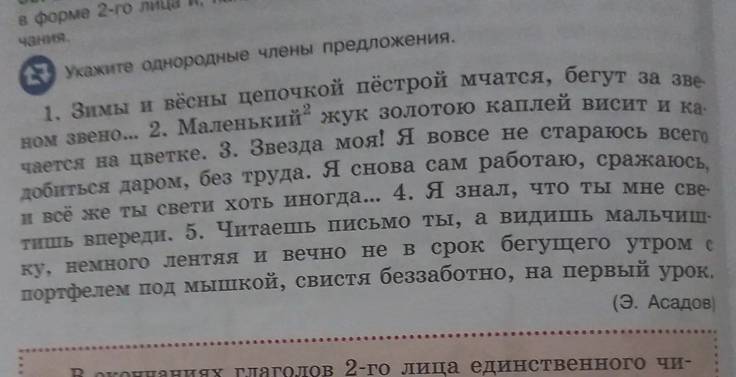 Укажи однородные члены предложения в тексте