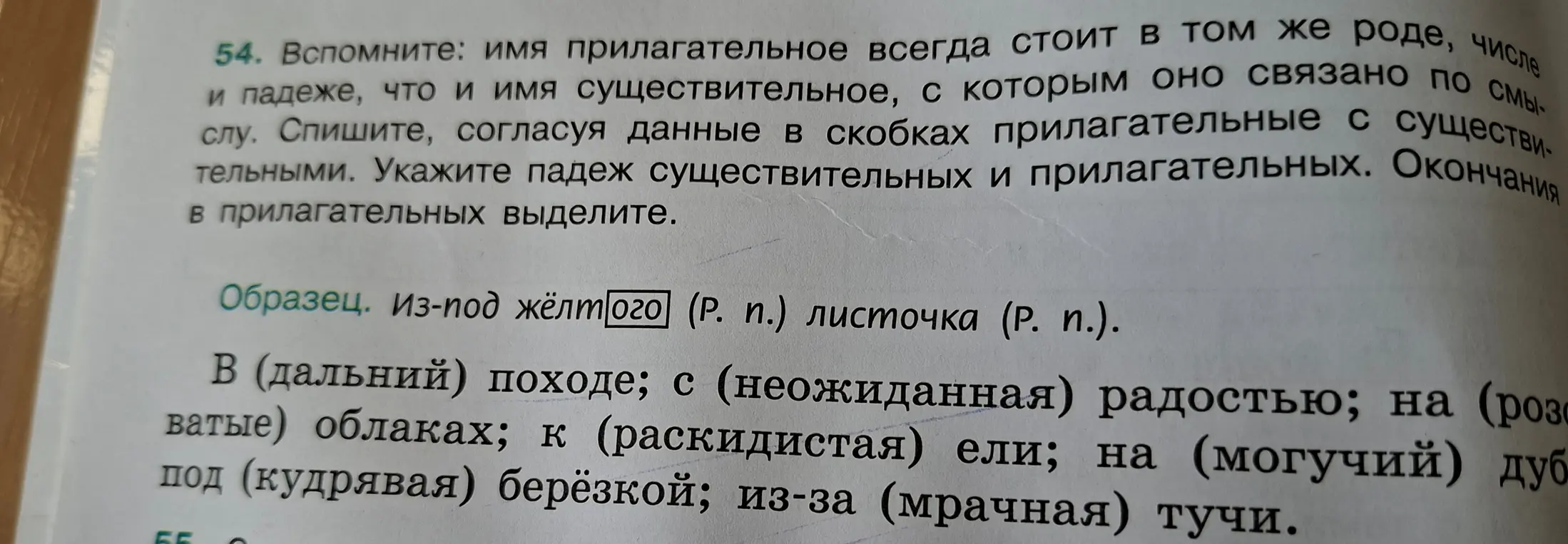 Помоги с упражнением: спиши, согласуя данные в скобках прилагательные с существительными, укажи падеж существительных и прилагательных, окончания в прилагательных выдели.