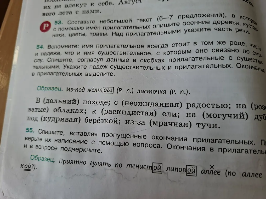 В 54 задании помоги списать, согласуя данные в скобках прилагательные с существительными и указать падеж существительных и прилагательных