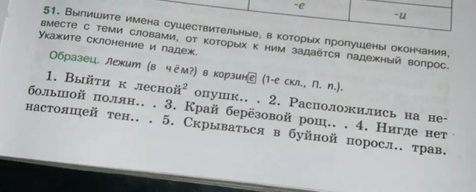 Определи склонение и падеж существительных в предложениях, в которых пропущены окончания.