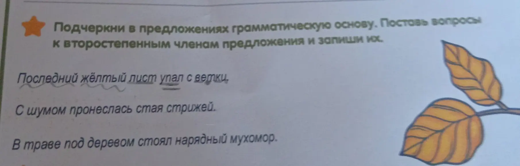 Выполни подчеркивание в предложении "Последний жёлтый лист упал с ветки" грамматической основы, поставь вопросы к второстепенным членам предложения и запиши их