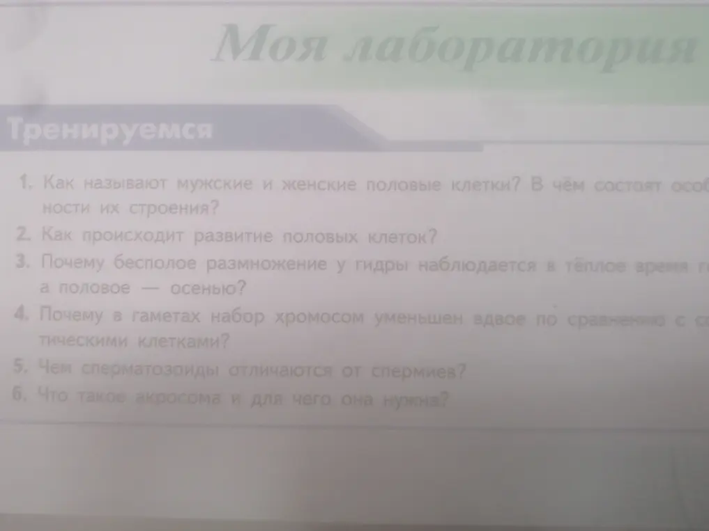 Ты просишь ответить на вопросы по биологии: Как называют мужские и женские половые клетки? В чём состоят особенности их строения?
