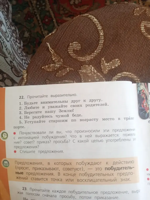 Почувствовал ли ты, что произносил эти предложения с интонацией побуждения? Что в ней выражается?