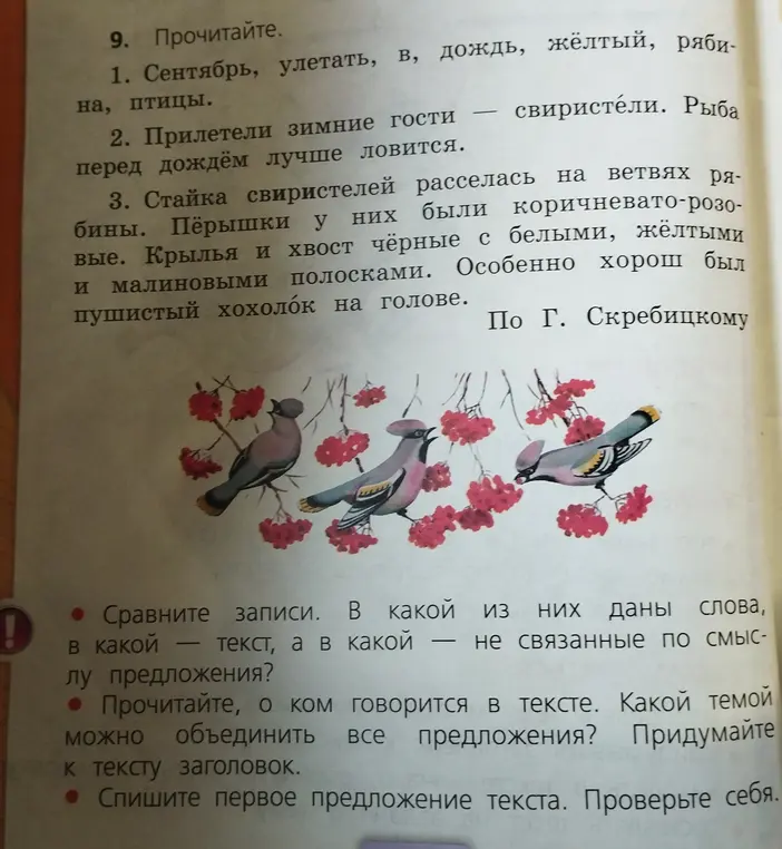 Предложи решение для упражнения: Сравни записи, в какой из них даны слова, в какой - текст, а в какой - не связанные по смыслу предложения?