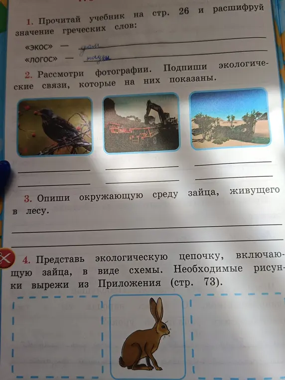 Объясни, что означают греческие слова «экос» и «логос», подпиши экологические связи на фотографиях, опиши среду обитания зайца в лесу и представь экологическую цепочку с зайцем в виде схемы.