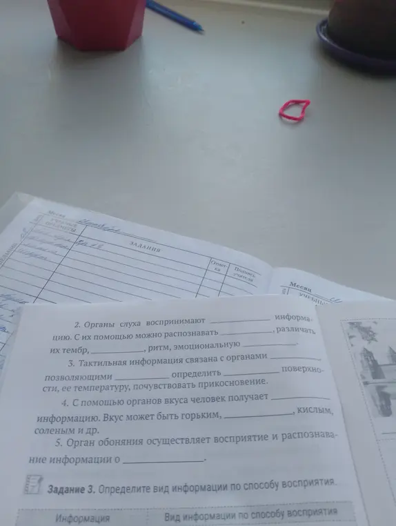 Заполни пропуски в предложениях об органах чувств
