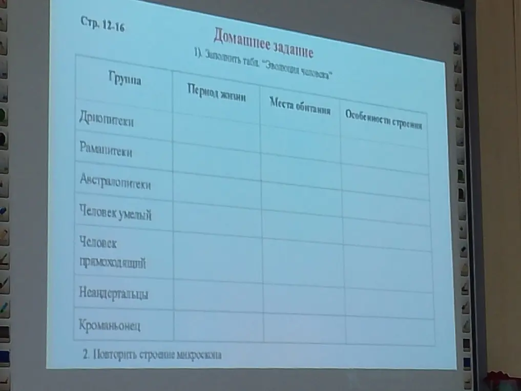 Заполни таблицу: эволюция человека
