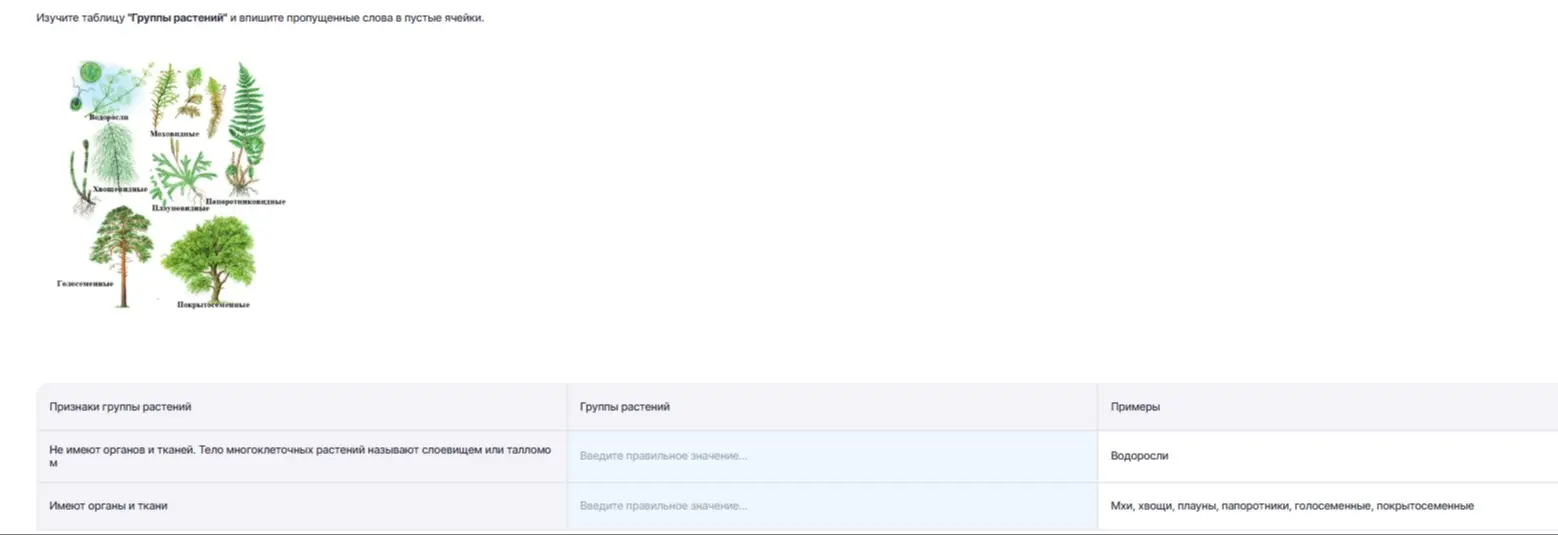 Заполни пропущенные слова в таблице "Группы растений".