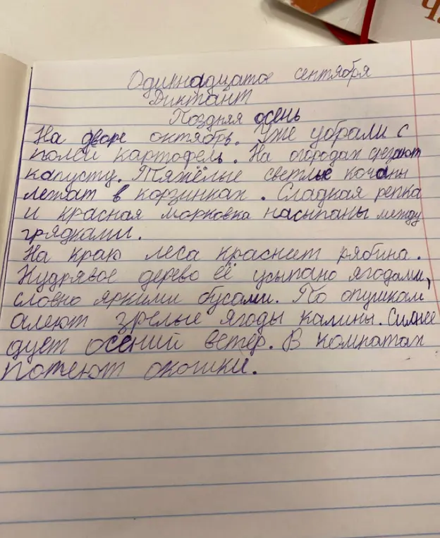 Найди ошибки в тексте.