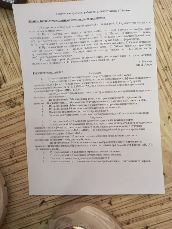 Выполни грамматическое задание, выпиши слова и грамматические основы, укажи количество основ в предложениях.