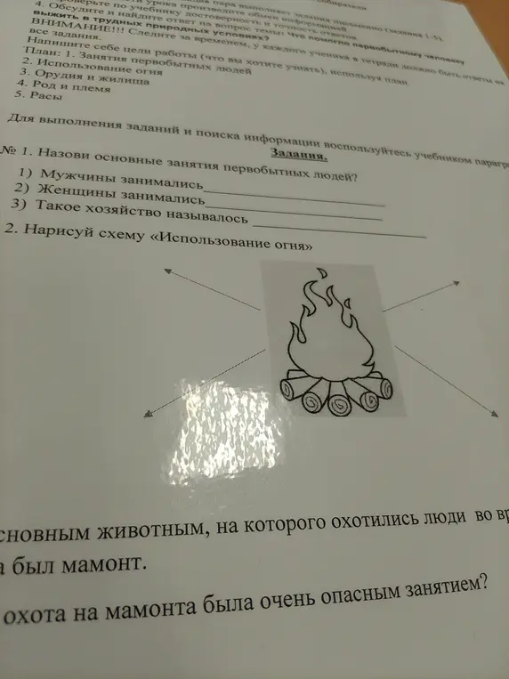 Расскажи об основных занятиях первобытных людей