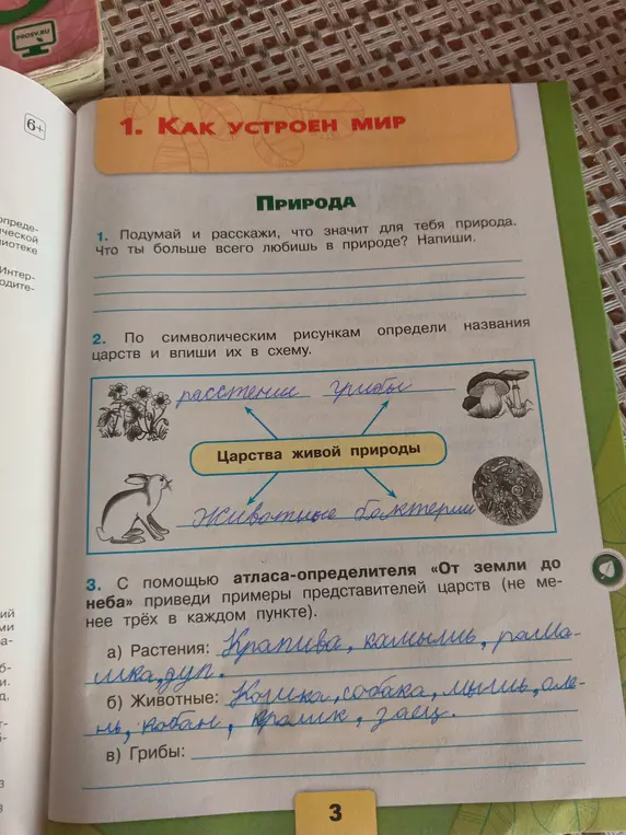 С помощью символических рисунков определи названия царств и впиши их в схему.
