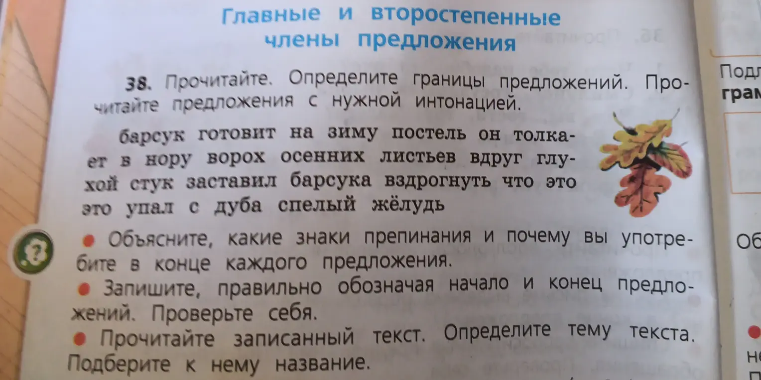 Определи границы предложений в тексте про барсука.