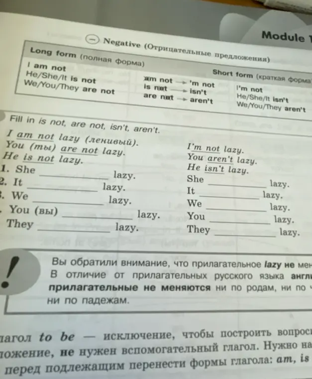 Помоги заполнить пропуски в предложениях на английском языке: She... lazy