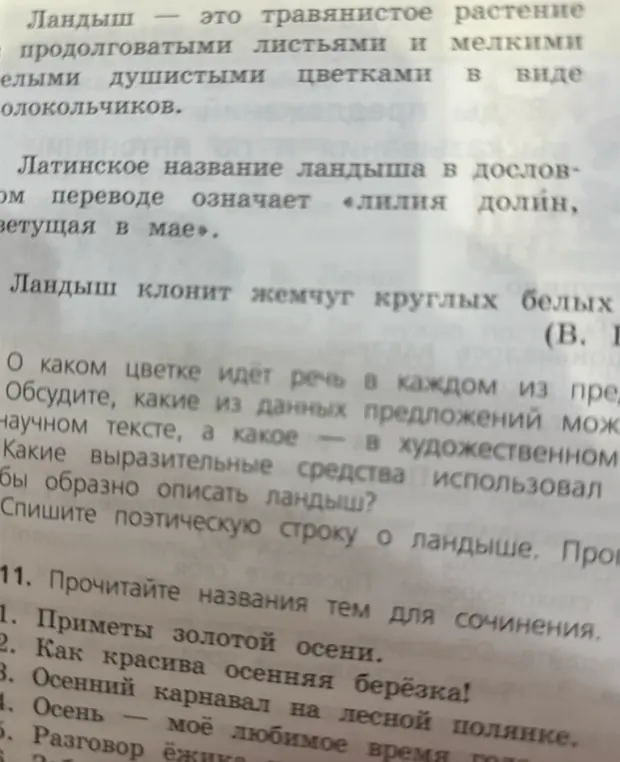 О каком цветке идёт речь в каждом из предложений?