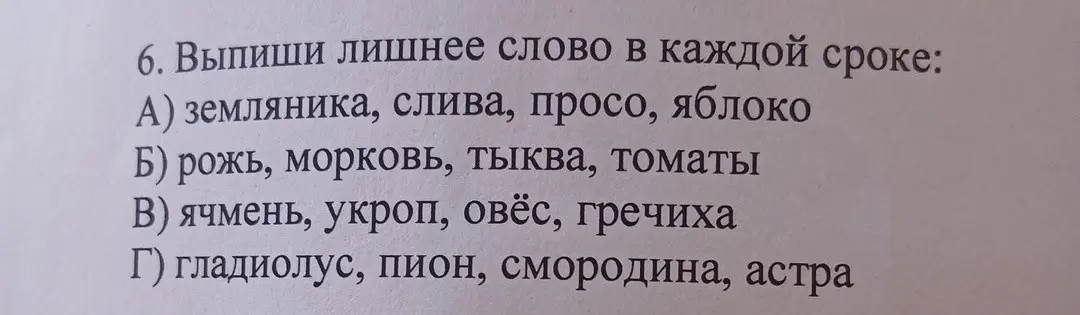 Выпиши лишнее слово в строке: земляника, слива, просо, яблоко