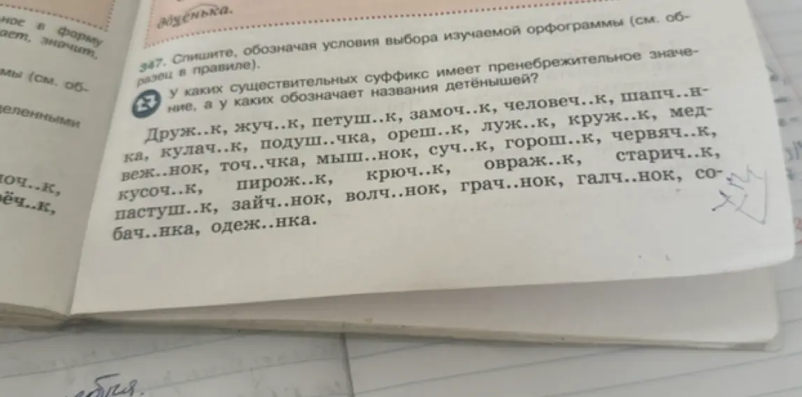 Определи, в каких существительных суффикс имеет пренебрежительное значение, а в каких обозначает названия детёнышей