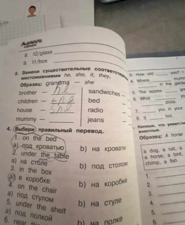 Помоги заменить существительные местоимениями he, she, it, they и выбрать правильный перевод.