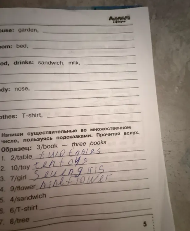 Напиши существительные во множественном числе для sandwich, T-shirt, tree