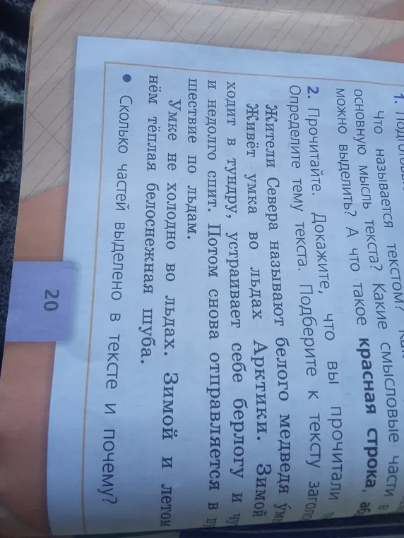Сколько частей выделено в тексте и почему?