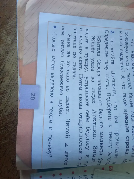 Сколько частей выделено в тексте и почему?