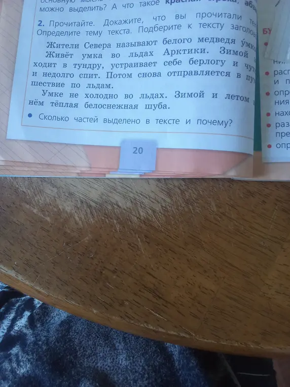 Сколько частей выделено в тексте про белого медведя и почему?