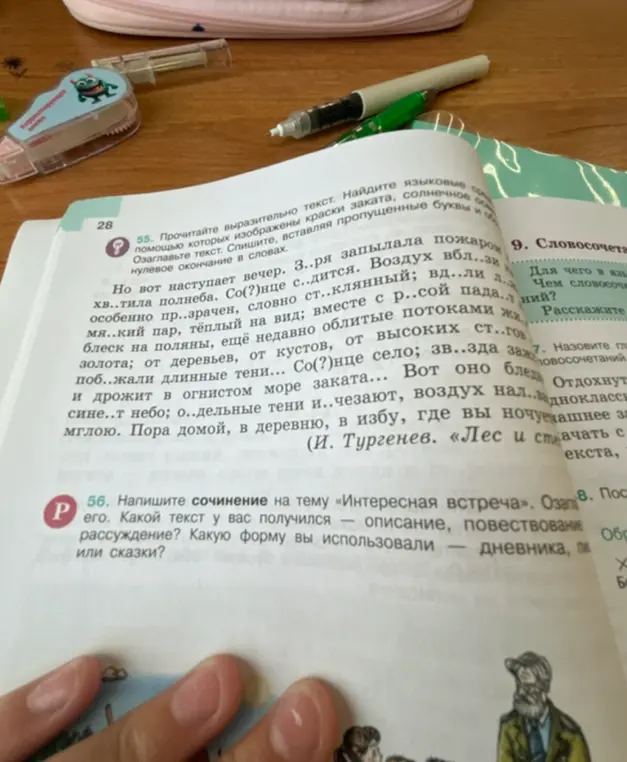 Напиши сочинение на тему «Интересная встреча».