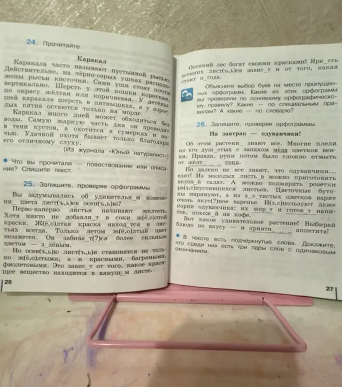 Ты просишь выполнить задания 24-27: списать текст, вставить буквы и объяснить орфограммы в упражнениях про каракала и одуванчики.