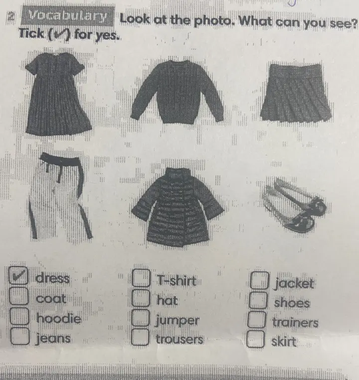 Отметь галочкой, что ты видишь на картинке (dress).