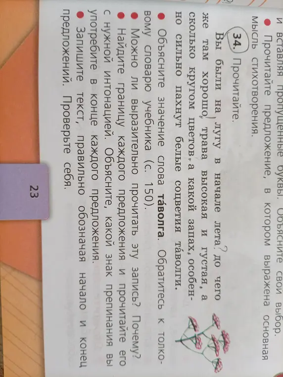 Объясни значение слова таволга