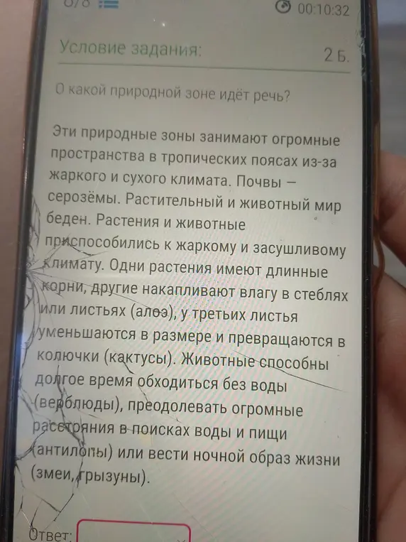 Определи, о какой природной зоне идёт речь по описанию