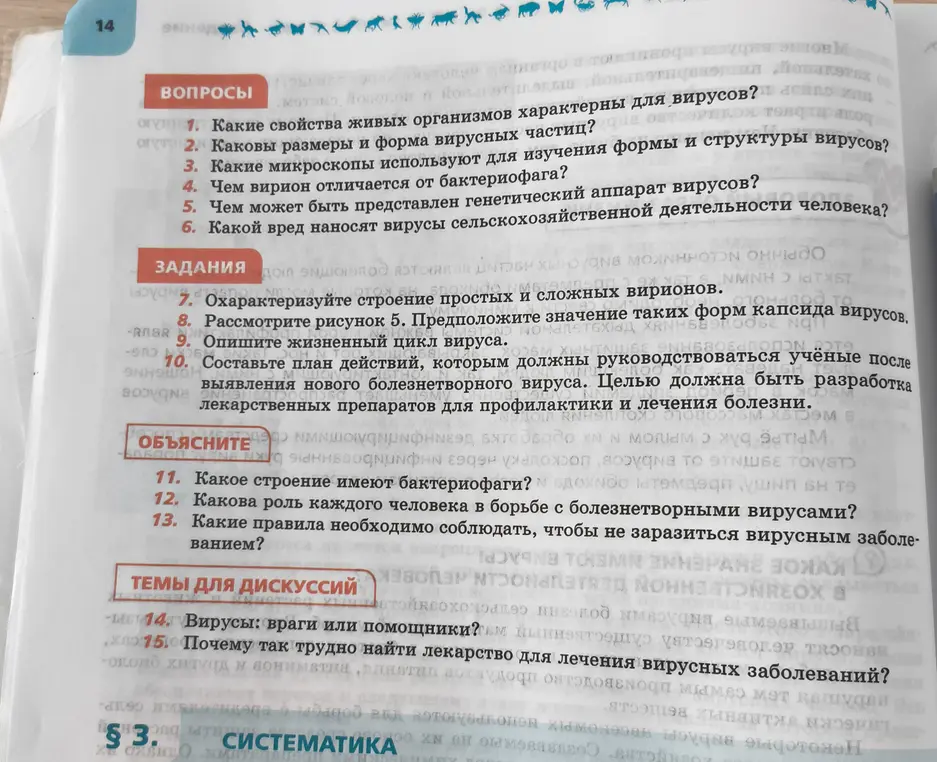 Охарактеризуй строение простых и сложных вирионов