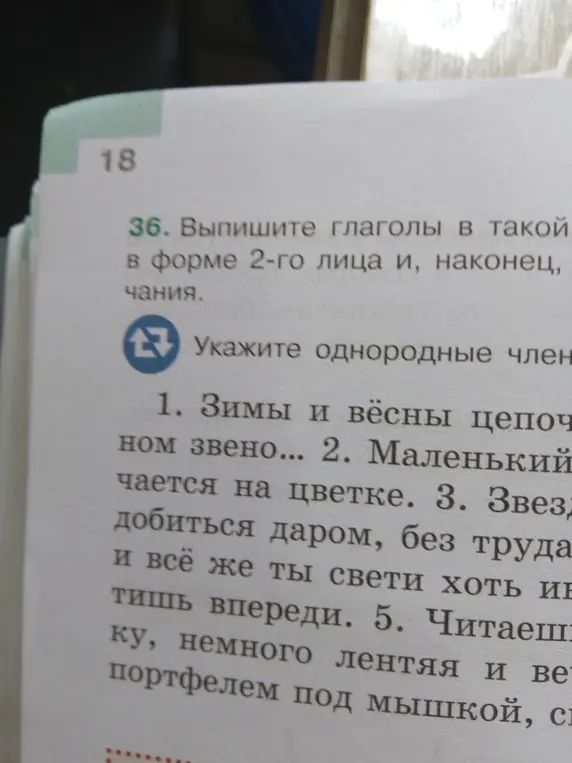 Выпиши глаголы во 2-ом лице из текста