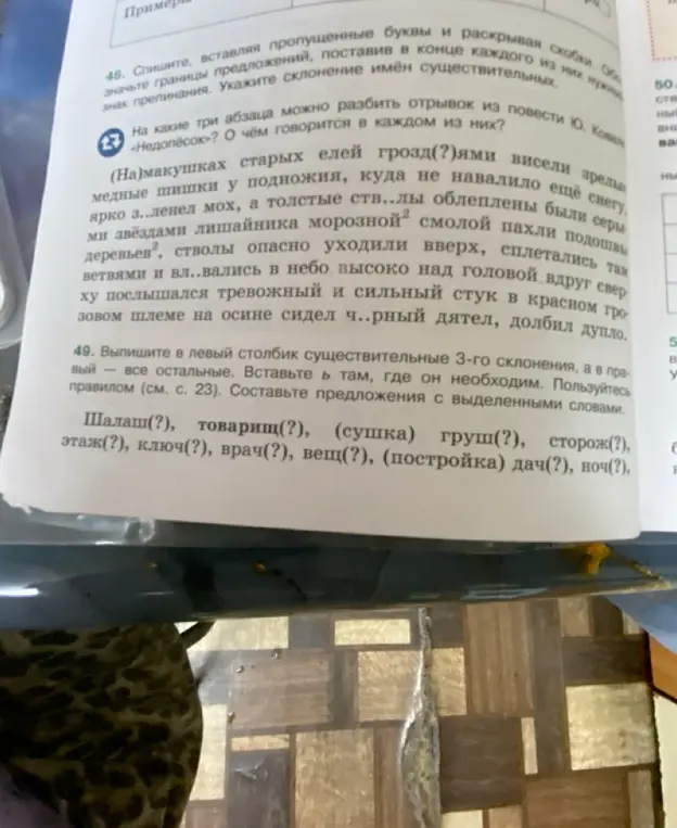 Помоги мне выполнить задания: 48. Спишите, вставляя пропущенные буквы и раскрывая скобки. Обозначьте границы предложений, поставив в конце каждого из них нужные знаки препинания. Укажите склонение имен существительных. 49. Выпишите в левый столбик существительные 3-го склонения, а в правый - все остальные. Вставьте ь там, где он необходим.