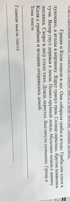 Определи главную мысль и тему текста "Гриша и Коля пошли в лес".