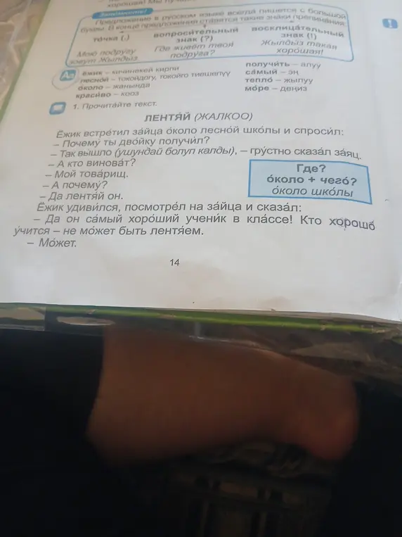 Прочитай текст