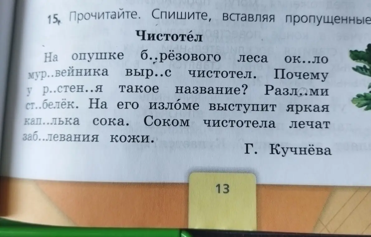 Вставь пропущенные буквы в тексте про чистотел