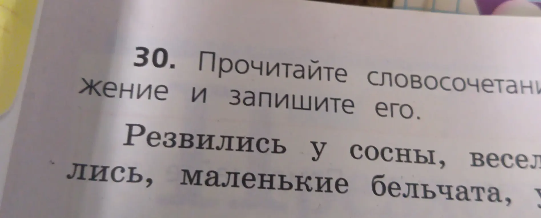 Прочитай словосочетание и запиши его: резвились у сосны